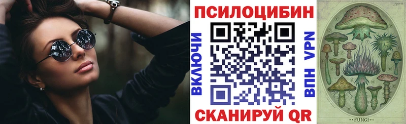 где купить наркотик  kraken   Галлюциногенные грибы Magic Shrooms  Родники 